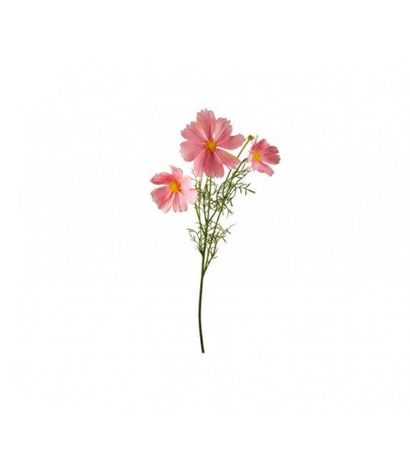 Ramillete cosmos