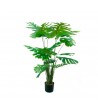 Monstera