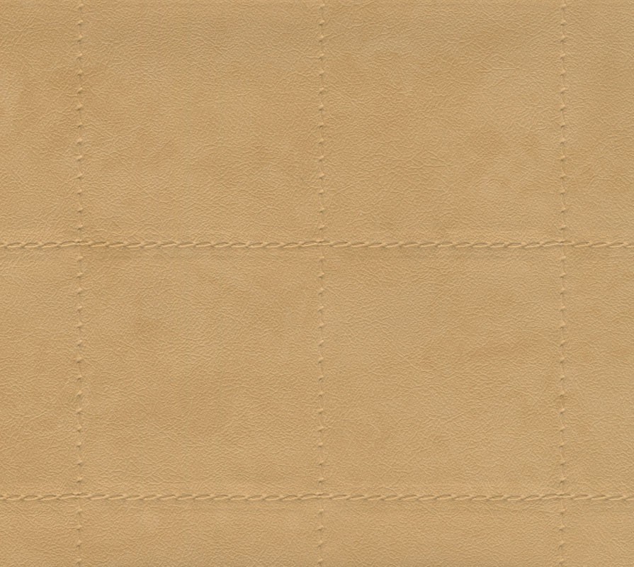 CLY 1003