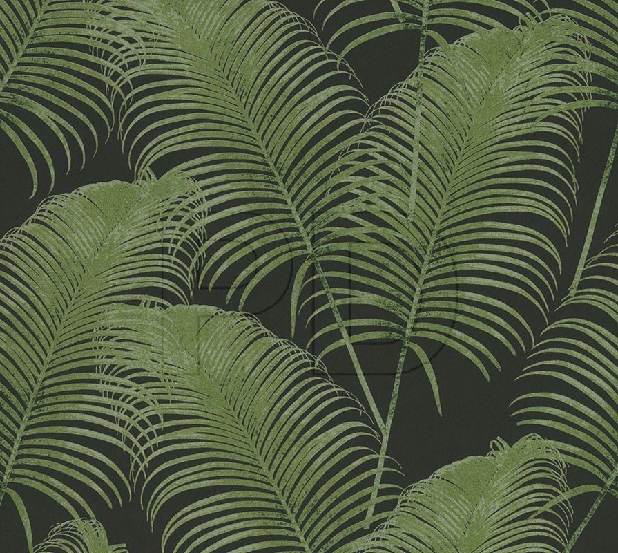 Paloma Dark